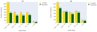 Comparative transcriptomics of a generalist aphid, Myzus persicae and a specialist aphid, Lipaphis erysimi reveals molecular signatures associated with diversity of their feeding behaviour and other attributes